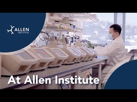 At Allen Institute