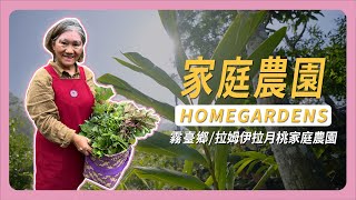 霧臺鄉 拉姆伊拉月桃家庭農園｜盧惠美老師 #家庭農園 #屏科大 @comforestry