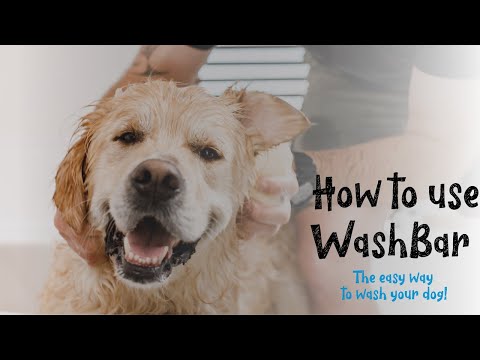 How to wash your dog with WashBar, you won't believe how easy it is!