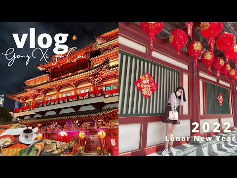 VLOG🐯 Celebrating 1st CNY in Singapore [Day and Night] 新年快乐 万事如意 ✨