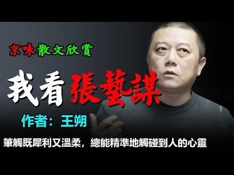 💥王朔的散文欣賞：1.再告某某卫视及各商业媒体，2.痛、病、快乐着（评白岩松）、3.从一个流言说起（评张艺谋）、4.女的是怎样炼成的