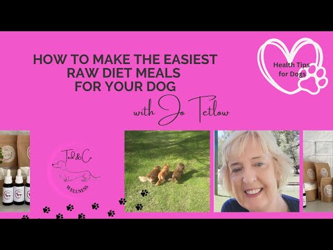 How To Make The Easiest Raw Diet Meals For Your Dogs?