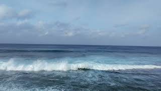 Sunabe Seawall, Okinawa Halloween 2024