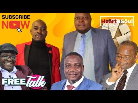 Inside the opposition's struggles, past, present & future with Job Sikhala #freetalk #hstvzim