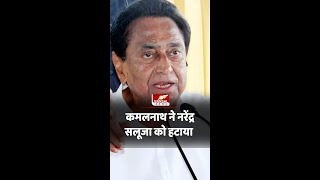 कमलनाथ की नाराजगी ! नरेंद्र सलूजा को हटाया - Kamal Nath | Breaking News