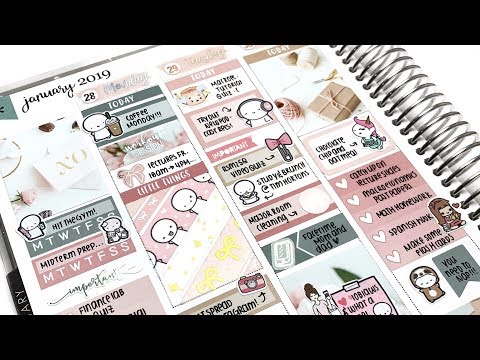 Plan with Me: Hello February! (ft. Station Stickers, Erin Condren)