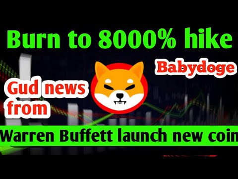 Shiba inu burn rate increased to 8000% / Warren Buffett introduced new coin / latest crypto updaes