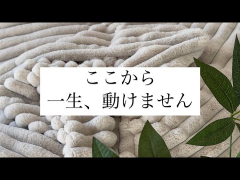 一度入ったらもう出られない！そんなアレを手に入れてみた