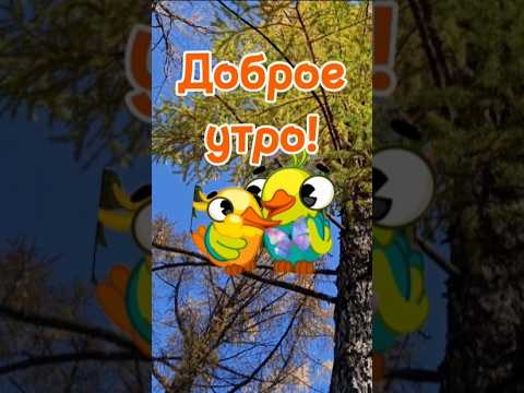 Доброе утро