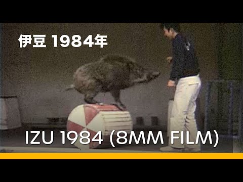 Animal Farm and Joren Falls in Izu 1984 |  伊豆：動物園・浄蓮の滝 1984年