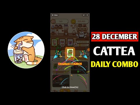 Cattea Daily Combo 29th December | Cattea Today's Daily Combo | Daily Combo Cattea | Cattea Airdrop