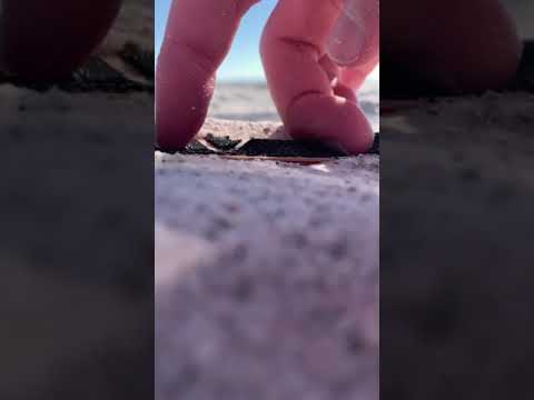 Fingerboarding on beach sand (part 2)