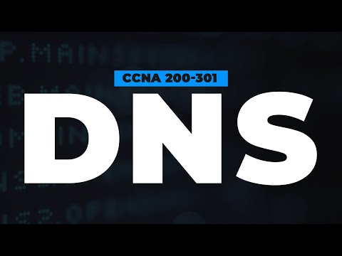 Domain Name System (DNS) | FREE CCNA 200-301 Cisco Course