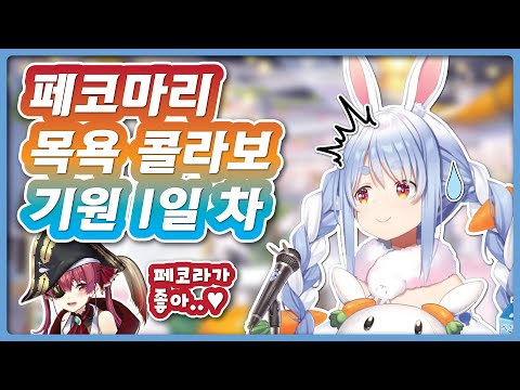 5월에 예정된 페코마리 오프콜라보 (홀로라이브 / 우사다 페코라)