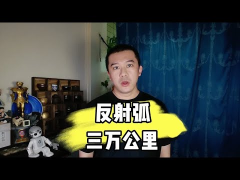 反射弧三万公里