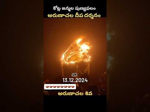 కార్తీక మహాదీపం అరుణాచలం 🪔🪔🪔#tiruvannamalai #arunachalam #subscribe #shorts #devotional