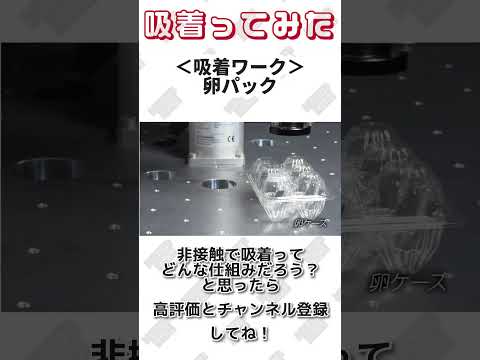 【 真空のチカラで 】卵パック 吸着ってみた【コンバム】