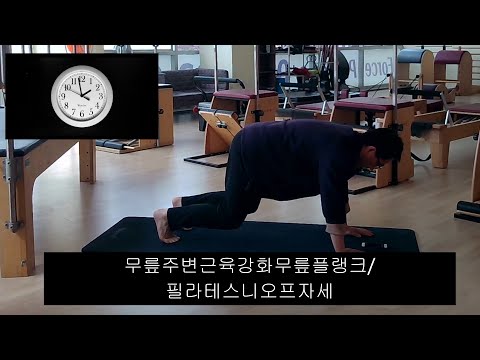 무릎주변근육강화무릎플랭크동작/필라테스니오프동작/plank off knee exercise