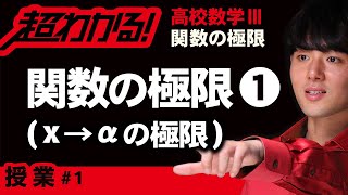 関数の極限❶x→αの極限【高校数学】関数の極限＃１