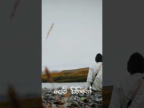 pem sihine (පෙම් සිහිනේ)||Slowed+Reverb|| 💔🌿