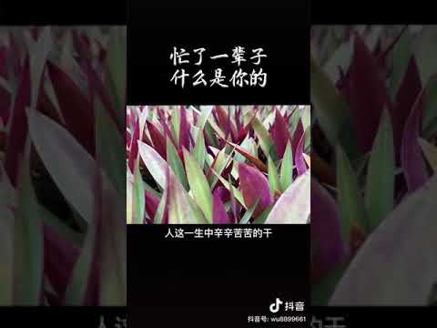 忙了一輩子 什麼是你的