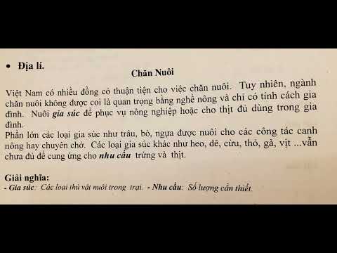 BIN&BIN | Chăn nuôi