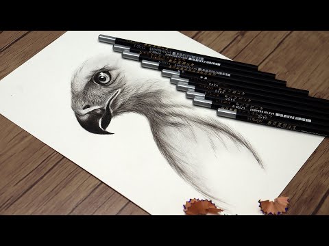 How to Draw an Eagle Head Step by Step | Pencil Drawing Tutorial