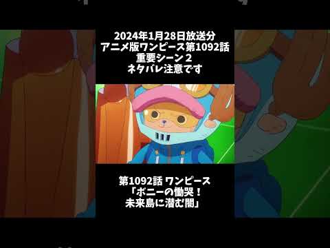 アニメ版ワンピース第1092話重要シーン2