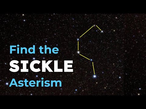 How to Find the Sickle Asterism in Leo the Lion Constellation