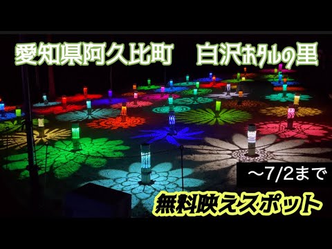 【映えスポット】竹灯籠　愛知県阿久比町　白沢ホタルの里