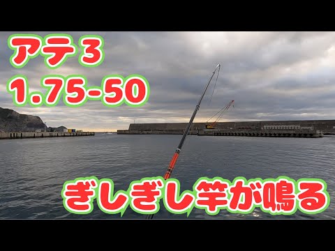 伊豆七島の神津島釣行2日目、アテンダー3を思いっきり曲げるデカい魚がきた！超たのしい。