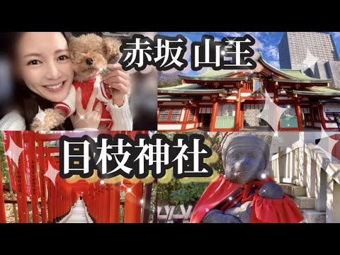 【東京No.1最強パワースポット】日枝神社を網羅してきた🐒⛩✨【赤坂山王】