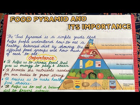 Food Pyramid| Balanced Diet Chart| School project| EVS work| Science project school work|