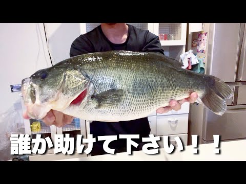 日本最大の湖　琵琶湖で釣ったブラックバスを食べてみると…