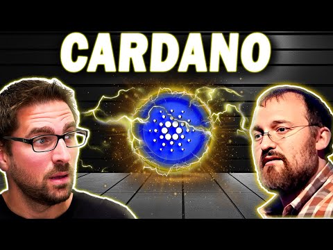 Charles Hokinson (Cardano) Building Memecoin Metaverse?!