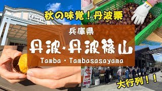 【秋の味覚・丹波栗】大行列！？よんチャンTVで見た、道の駅丹波おばあちゃんの里へ焼き栗を買いに行こう！【丹波市丹波篠山市2023年10月6日】