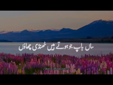 Maa Baap Jo Hote Hai Na 🥀 | Islamic WhatsApp Status |