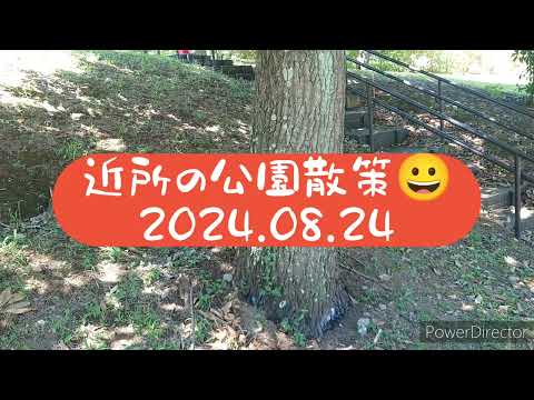 【散策】近所の公園散策 2024.08.24 （クワガタ、カナブン、横浜）