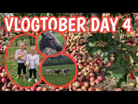 VLOGTOBER DAY 4 | I THINK I MAY ACTUALLY LOVE THIS