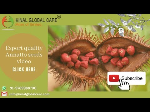 Annatto seeds