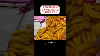 世界で最も高価なキャビアの一つ台湾のカラスミ #shortsvideo   #cookingshorts #food #shorts #食べ物