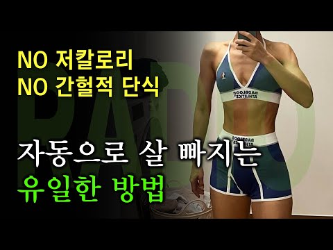 머라디오#14▶저칼로리, 간헐적 단식 다 필요 없습니다. '이것'만 이해하고 다이어트 시작하세요🔥