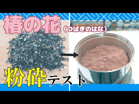 【椿茶作りに】椿の花を粉末にできるのかテストしました