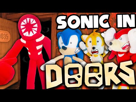 Sonic in Roblox Doors! - Sonic and Friends