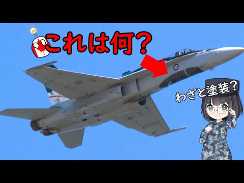 なぜ機首の下部分が黒い軍用機がいるの？