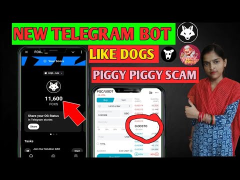 New telegram mining bot | Fox🦊 airdrop | Dogs🐶 Airdrop | Piggy piggy🐷 price scam |