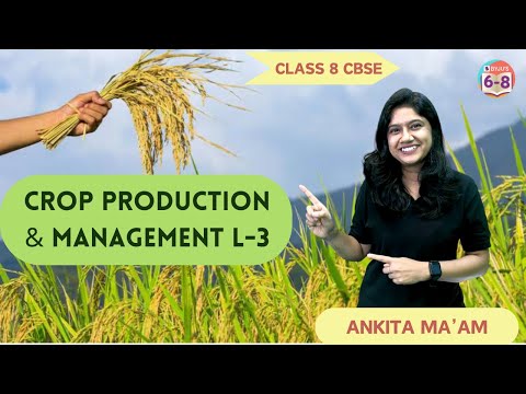 Crop Production and Management - L3 | Agricultural Steps in Agriculture | Class 8 CBSE