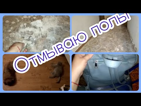 ОТМЫВАЮ ПОЛЫ. / ЧТО В МОЕМ РЮКЗАКЕ?