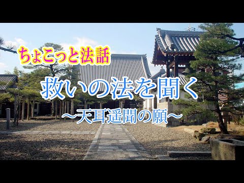 ちょこっと法話「救いの法を聞く～第七願 天耳遥聞の願～」