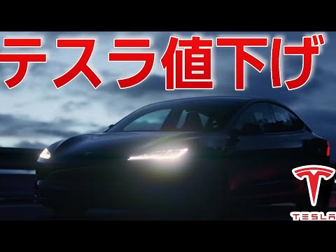 テスラが大幅値下げ！！新型Model３パフォーマンスついに発売！&テスラの補助金は最大170万円ももらえる⁉︎|TeslaNEWs